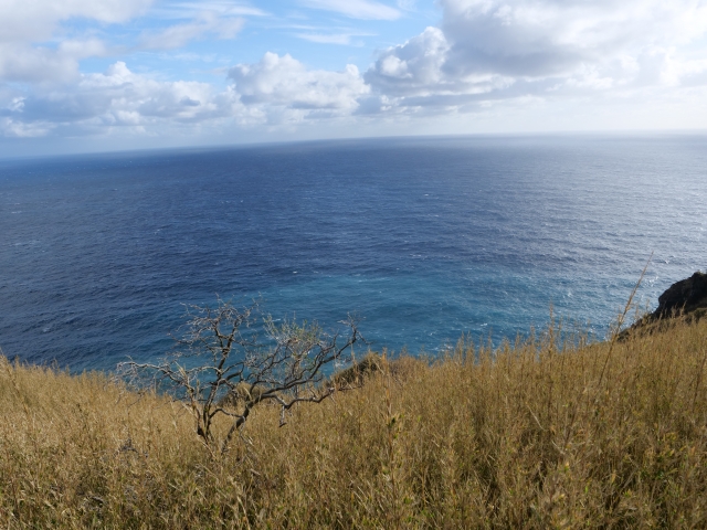 青ヶ島